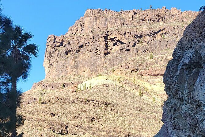Full Private Tour of Gran Canaria with Natural Pools - Arucas black basalt cathedral exterior: a quick dose of green and church towers