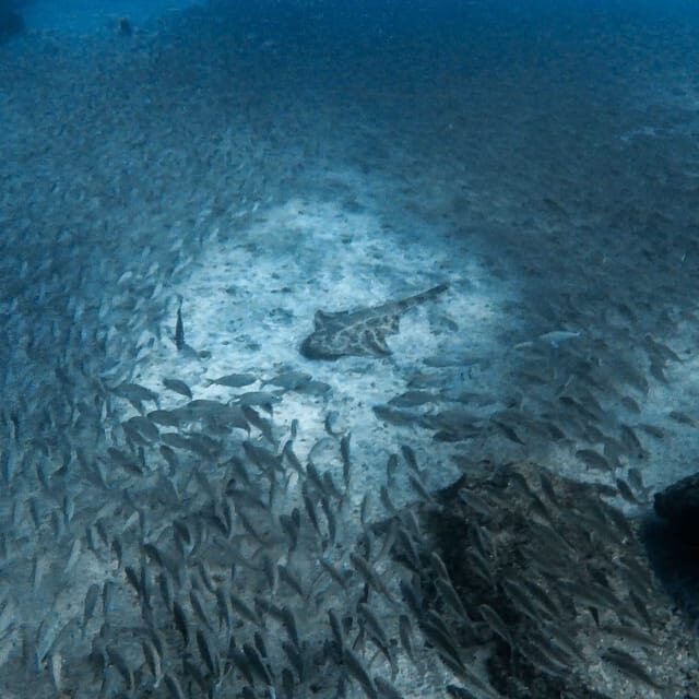 Gran Canaria: 3-Day Open Water Diver Course - Who This Course Fits Best (and Who Should Rethink It)