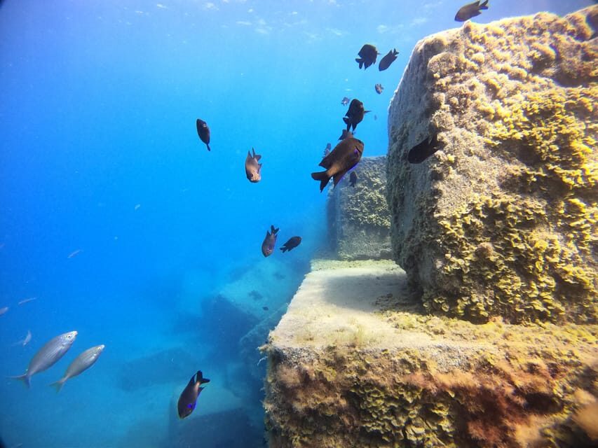 Gran Canaria: 3-Day Open Water Diver Course - Cordial Mogan and the Atlantic: the Setting That Helps You Learn