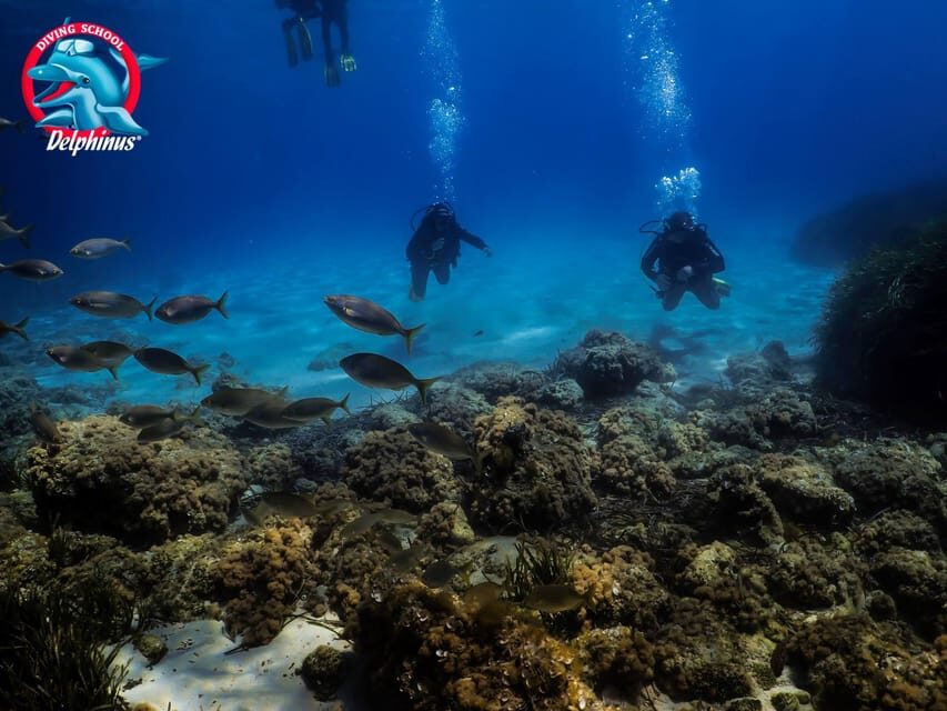 Gran Canaria: 3-Day Open Water Diver Course - Instructors and Training Quality: Friendly, Organized, and Practical