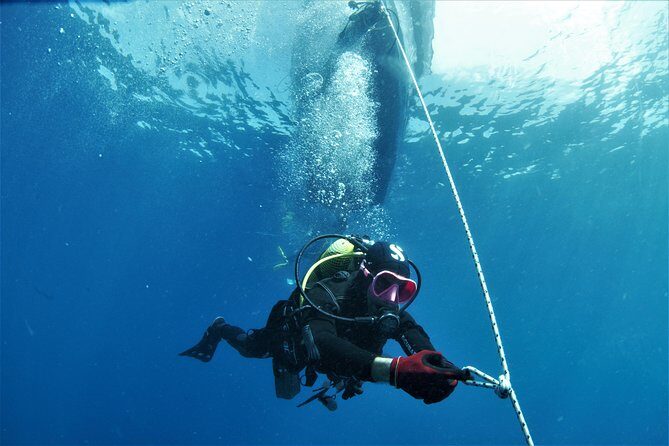 Gran Canaria 3 days / 6 dives in Various Locations - Meeting Blue Water base at 8:30am: what your morning looks like