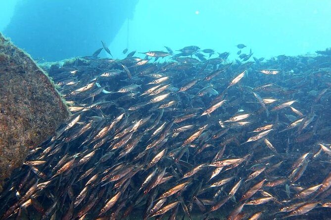Gran Canaria 3 days / 6 dives in Various Locations - Equipment included: you’ll save money, not just suitcase space