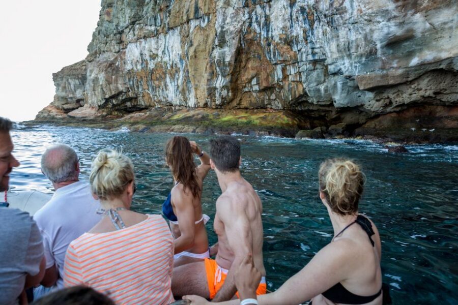 Gran Canaria: Afternoon Catamaran Cruise with Food & Drink - Price and value: does $91 feel fair?