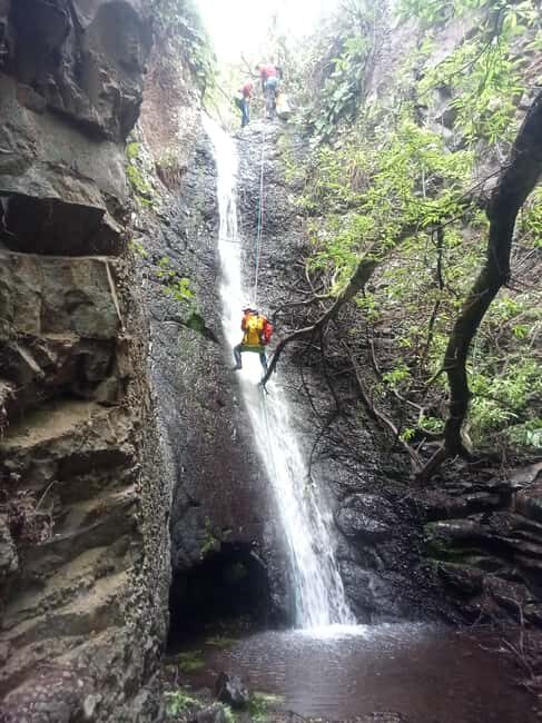 Gran Canaria: Canyoning Adventure in the Green Heart Jungle - Four Abseils from Different Heights: The Skill Part That Still Feels Like Play