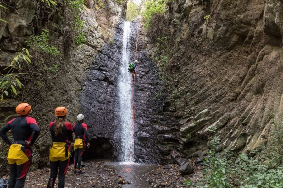 Gran Canaria: Canyoning in the Rainforest - Fitness, Heights, and Health: Who This Canyoning Tour Fits