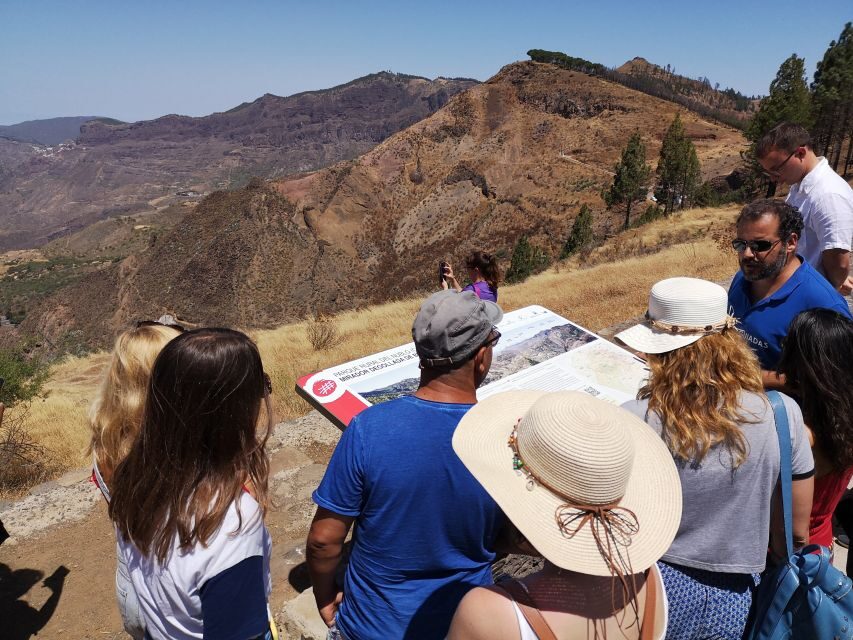 Gran Canaria: Customizable Private Tour - Why this private Gran Canaria tour fits a tight schedule