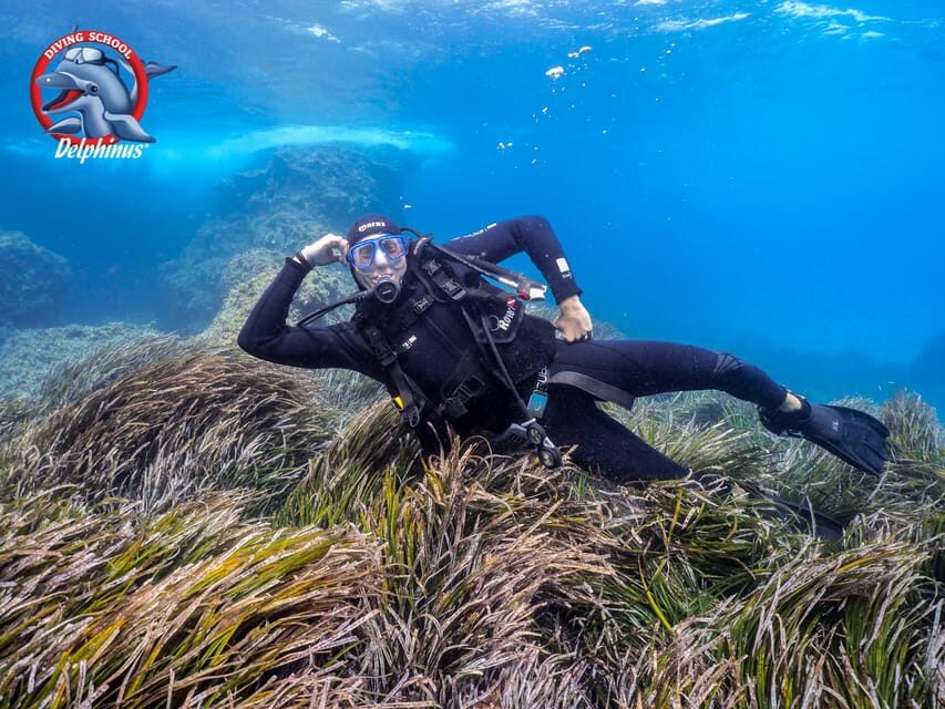 Gran Canaria: Discover Scuba Diving Beginner Program - Shallow-water skills and theory: the part that pays off later