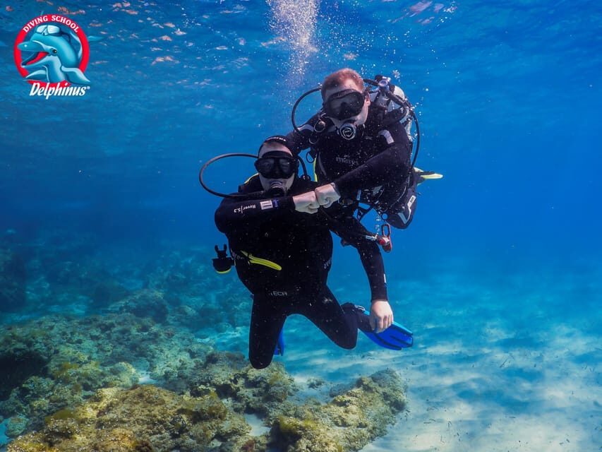 Gran Canaria: Discover Scuba Diving Beginner Program - Atlantic sea life: what you’ll likely notice (and what can limit it)
