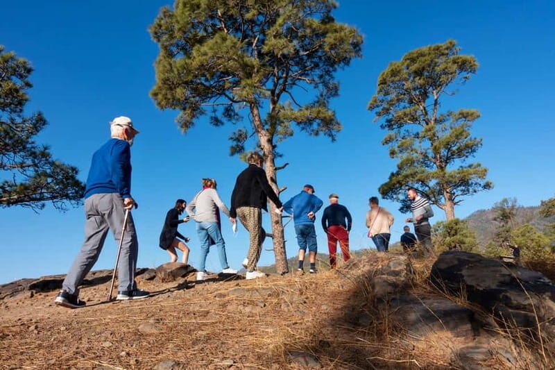Gran Canaria: Full Coast Tour with Local Guide - La Aldea de San Nicolás: A Rural Pause With Time to Walk