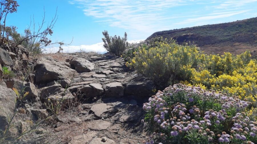 Gran Canaria: Full-Day Guided Hiking With Snacks - Setting off from the south: pickup times and where the minibus stops
