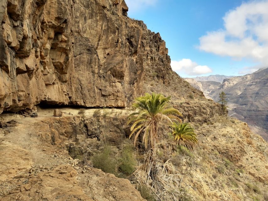 Gran Canaria: Full-Day Guided Hiking With Snacks - “Snacks” with teeth: included food, drinks, and a pace that fits