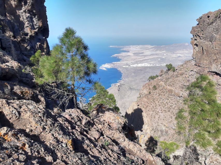 Gran Canaria: Full-Day Guided Hiking With Snacks - Timing gotcha: hiking is not organized in peak summer