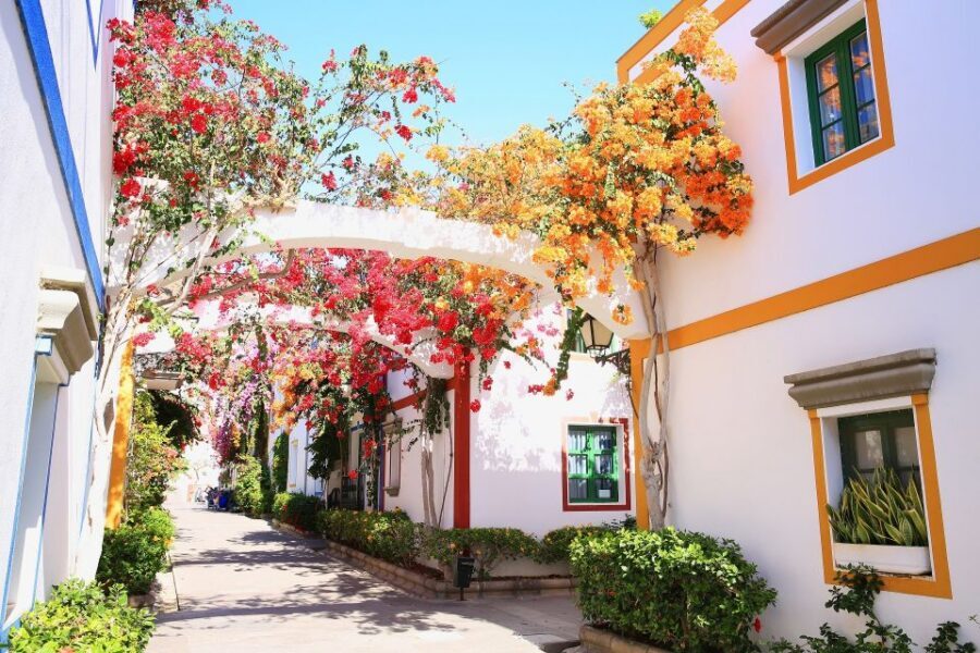 Gran Canaria: Full-Day Island Sightseeing Coach Tour - Las Canteras Beach and Alfredo Kraus Auditorium: The Photo Walk You’ll Remember