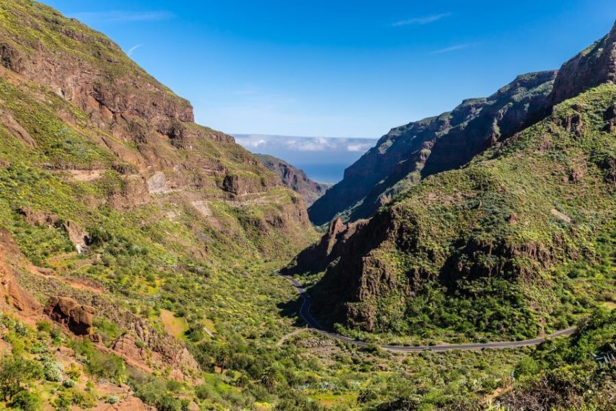 Gran Canaria: Full-Day VIP Tour by Bus - Key Highlights Worth Your Camera Roll