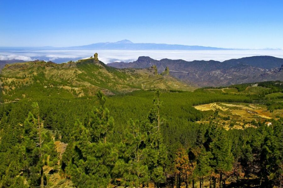 Gran Canaria: Full-Day VIP Tour by Bus - Best For: Who This Tour Suits