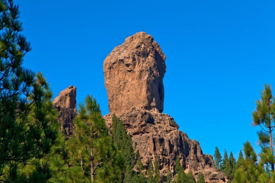Gran Canaria: Full-Day VIP Tour by Bus - Guayadeque Caves and an Aloe Vera Skin Test
