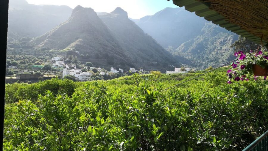 Gran Canaria: Grand Island Tour by Bus with Transfers - Key highlights you’ll actually feel