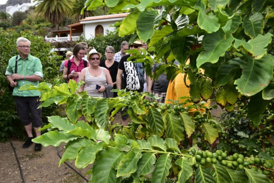 Gran Canaria: Grand Island Tour by Bus with Transfers - Practical tips so the day feels smooth instead of stressful