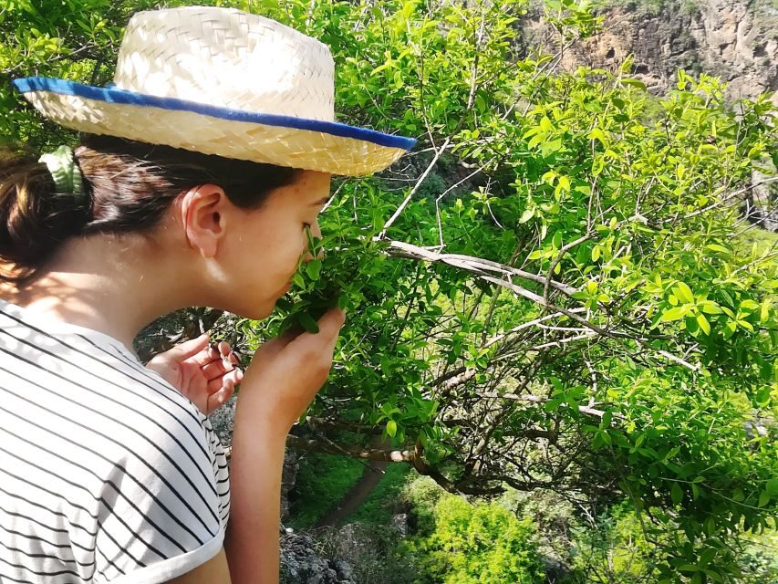 Gran Canaria: Green Witchcraft in the Magic Island - Where Firgas Turns Into a Quiet “Herb Classroom”