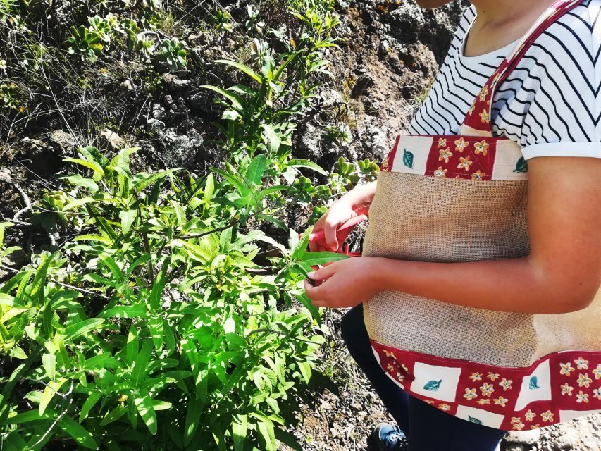 Gran Canaria: Green Witchcraft in the Magic Island - What to Bring (So the Ravine Doesn’t Win)