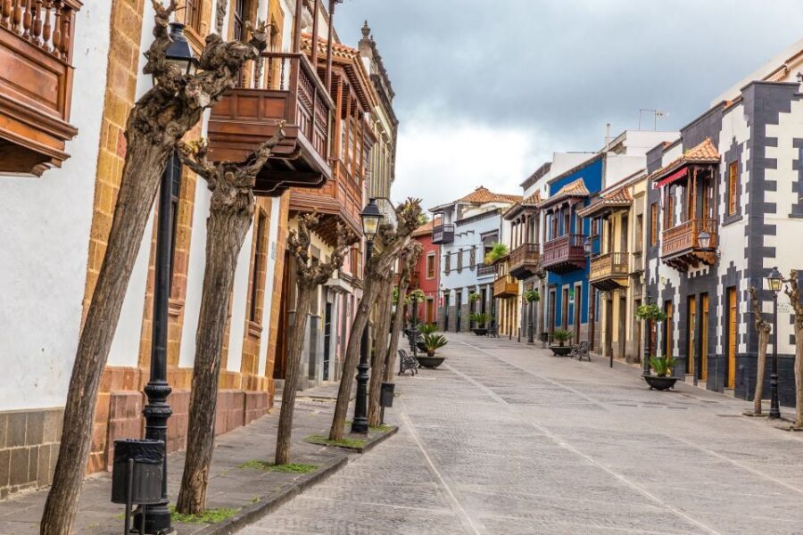Gran Canaria Highlights Full-Day Tour by Bus - Almond trees of Ayacata and Fataga palms: the “Valley of a Thousand Palms” moment