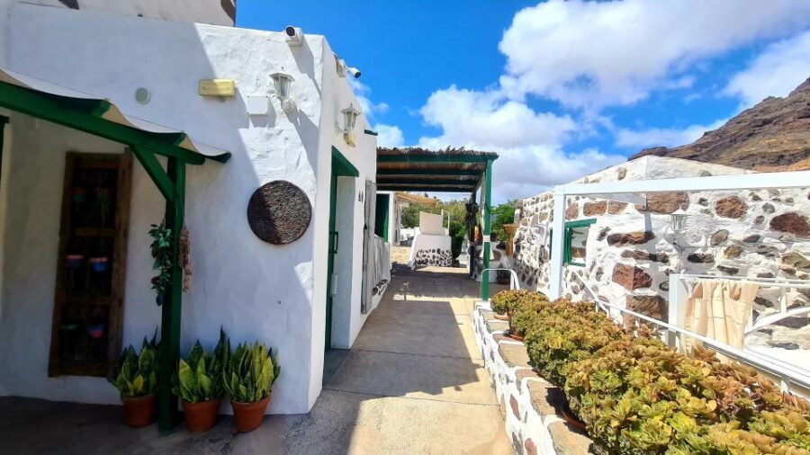 Gran Canaria historical house with mango plantation - Who should book this Mogán farmhouse, mango, and vermouth tour