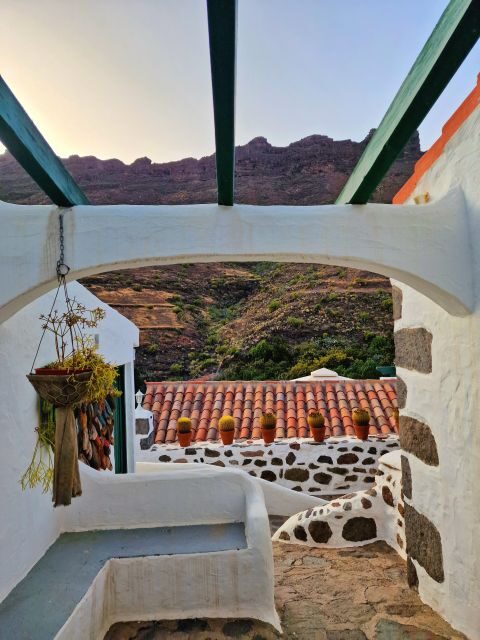 Gran Canaria historical house with mango plantation - The cactus garden walk: practical plant spotting on the trails