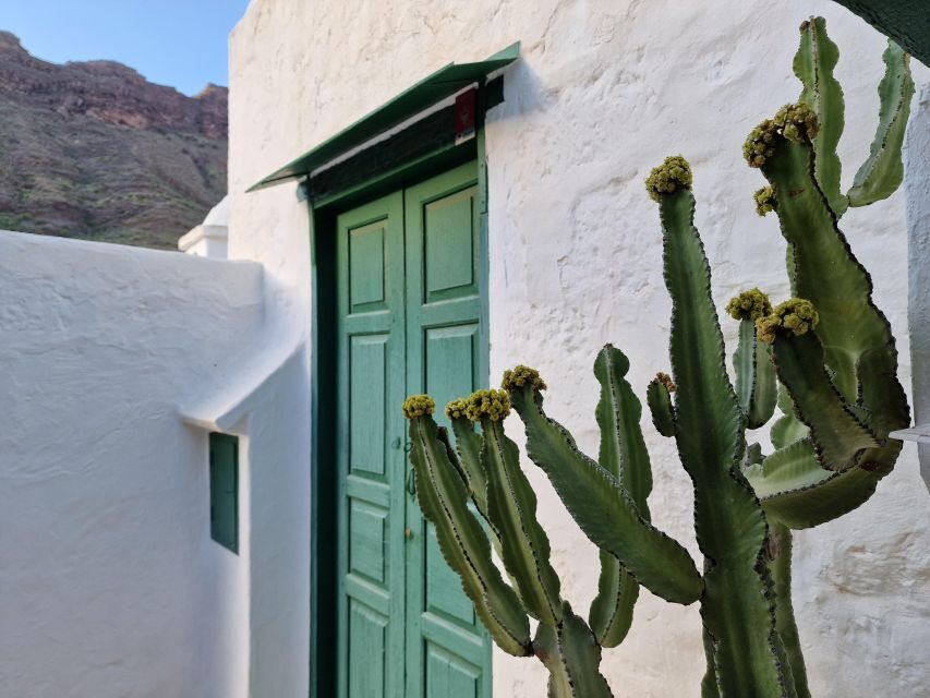 Gran Canaria historical house with mango plantation - Mango and other fruit crops: what you’ll see, and how you’ll understand them
