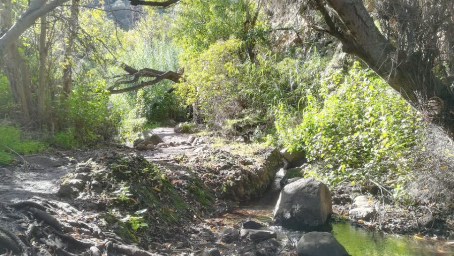 Gran Canaria: "Magic Waterfalls" Hiking Tour - Magic Waterfalls in 5 minutes: what you’ll remember
