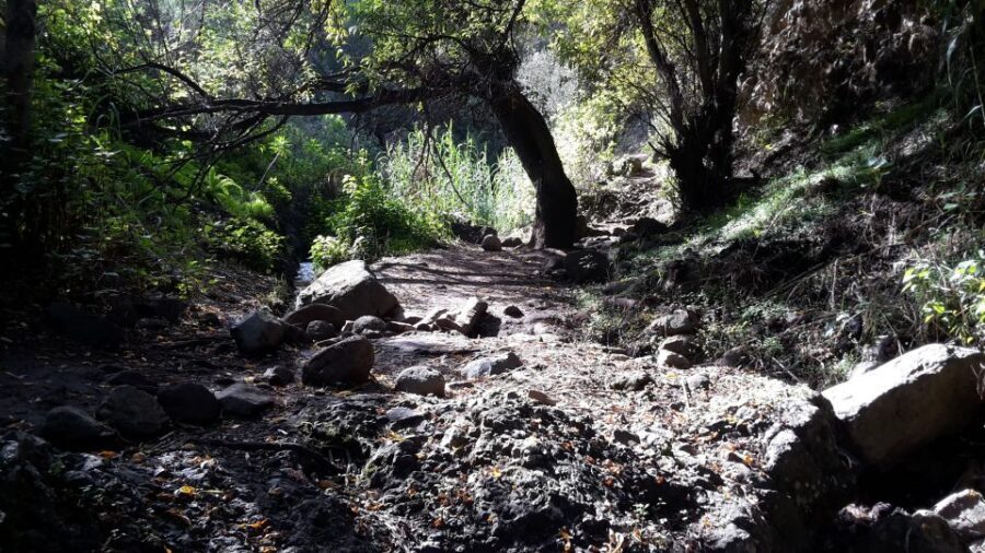 Gran Canaria: "Magic Waterfalls" Hiking Tour - Waterfall time plus the local bar stop: turning effort into a Canarian meal
