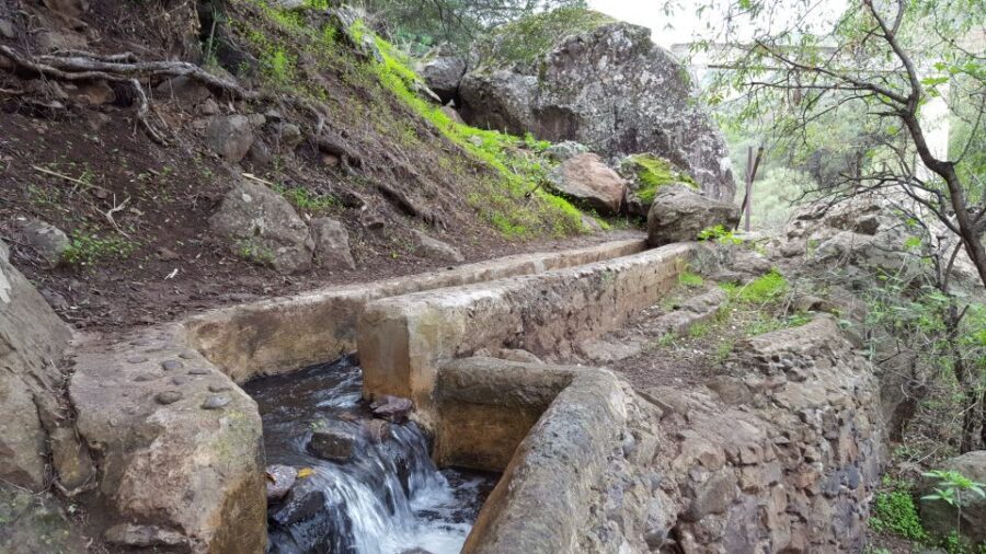 Gran Canaria: "Magic Waterfalls" Hiking Tour - What to bring (and what to skip): the gear list that matches the terrain