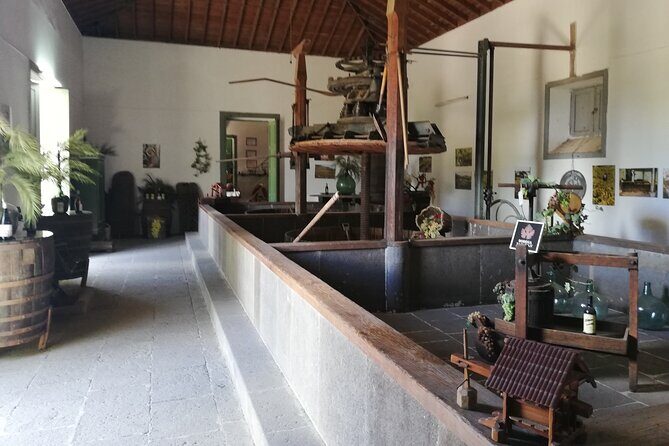 Gran Canaria Premium Tour: Volcanoes and Wine for cruisers - Santa Brígida: authentic Canarian town time and your lunch call