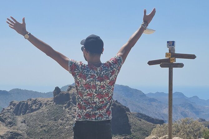 Gran Canaria Premium Tour: Volcanoes and Wine for cruisers - Pico de las Nieves: highest point views with Roque Nublo and Teide possible