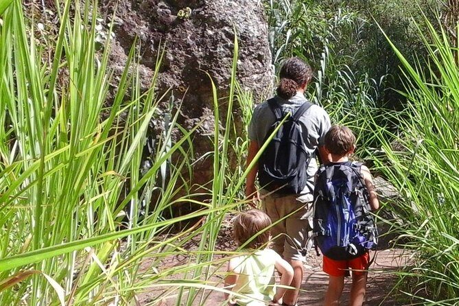 Gran Canaria private walks - Official guides from the Canary Government, not just local tour talk