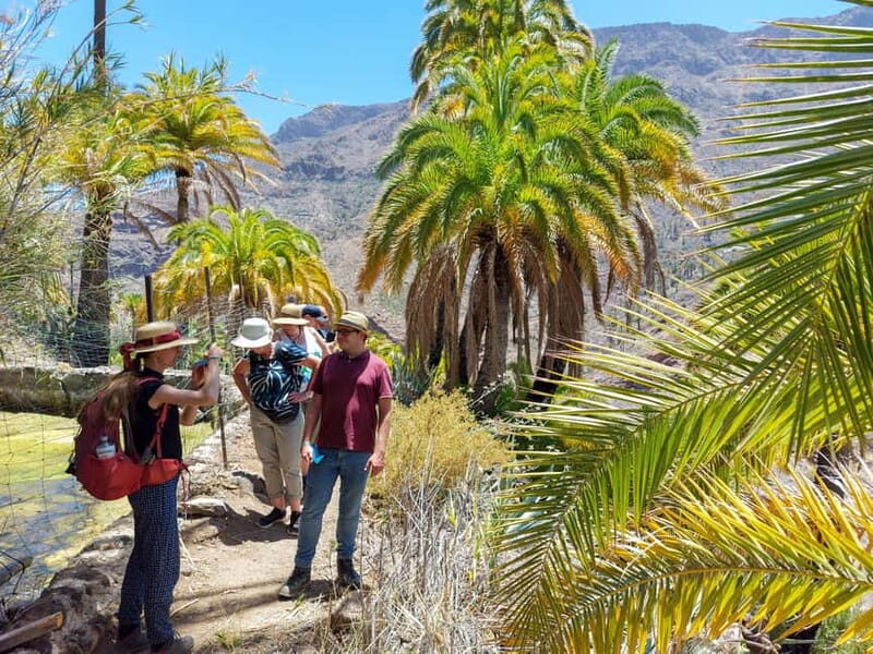 Gran Canaria: Red Gorge, Cave, Oasis Adventure Tour & Picnic - The viewpoint finish: southern mountain views and final photo time