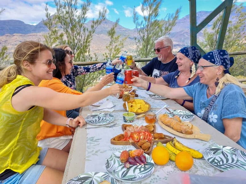 Gran Canaria: Red Gorge, Cave, Oasis Adventure Tour & Picnic - Guides, group size, and why the value feels fair at $103