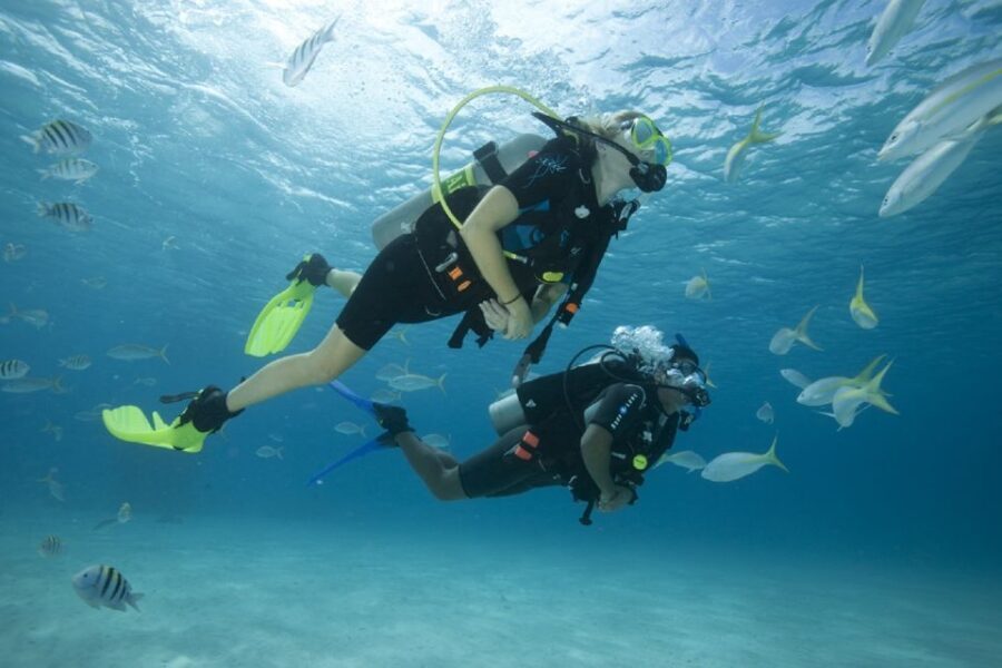 Gran Canaria: Scuba Diving for Beginners - What PADI Discover Scuba Teaches You (without the pressure)