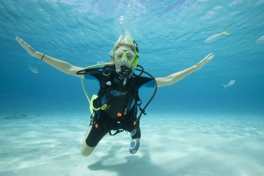 Gran Canaria: Scuba Diving for Beginners - Timing and how to plan your day in Puerto Rico