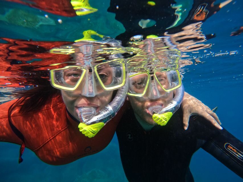 Gran Canaria: Snorkel tour with boat on the west coast - Key things to know before you go
