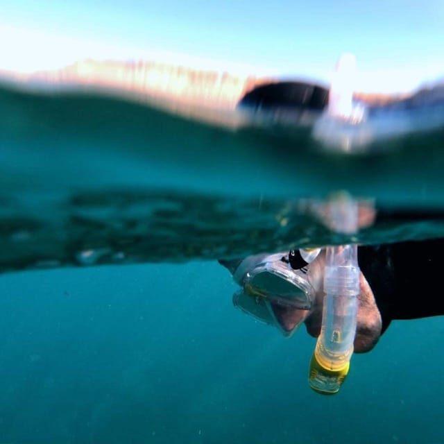 Gran Canaria: Snorkeling Trip - Quick takeaways before you go