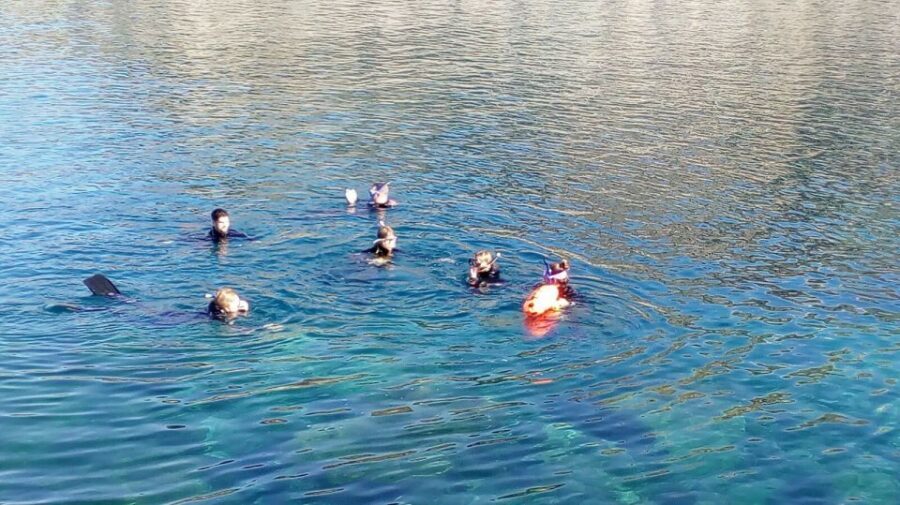 Gran Canaria: Snorkeling Trip - Entering the process at Puerto Rico de Gran Canaria