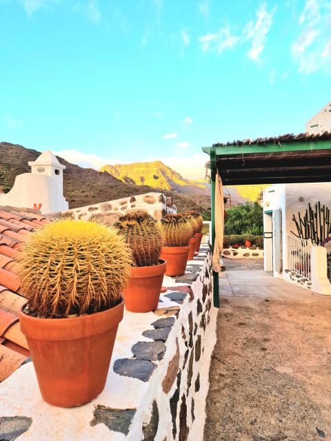 Gran Canaria: Spanish Tapas and Wine Tasting Tour in Mogan - FAQ