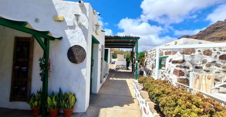 Gran Canaria: Spanish Tapas and Wine Tasting Tour in Mogan - Optional lunch or dinner: when upgrading makes sense