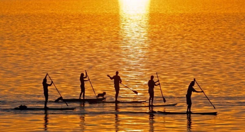 Gran Canaria: Stand-Up Paddle Lesson & Snorkeling Tour - Snorkeling session: equipment on, eyes open for fish and turtles