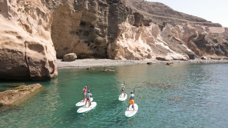 Gran Canaria : Stand Up Paddle (SUP) Tour - Sea turtles and flying fish: how to actually spot wildlife
