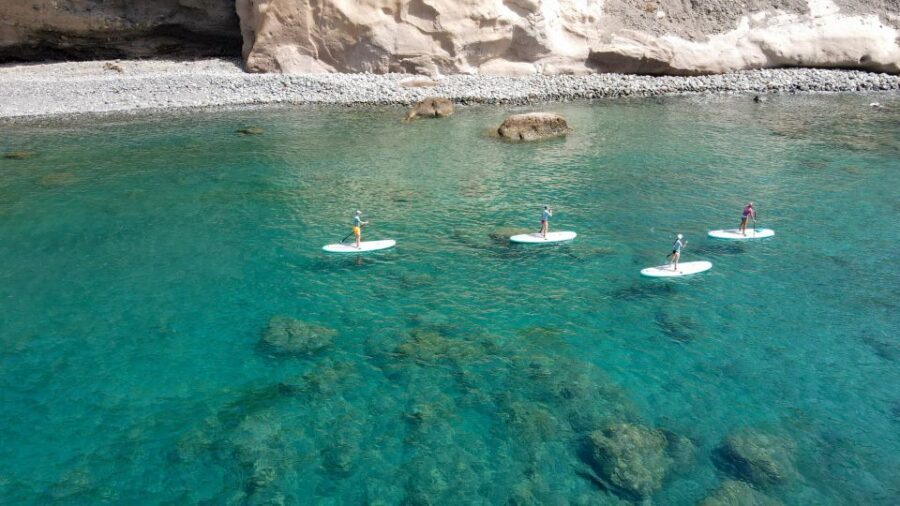 Gran Canaria : Stand Up Paddle (SUP) Tour - Who should book (and who should skip)