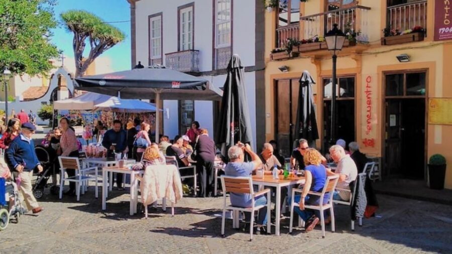Gran Canaria Tour: Past and Present - Guayadeque Valley: Cave Dwellings That Change the Way You See the Island