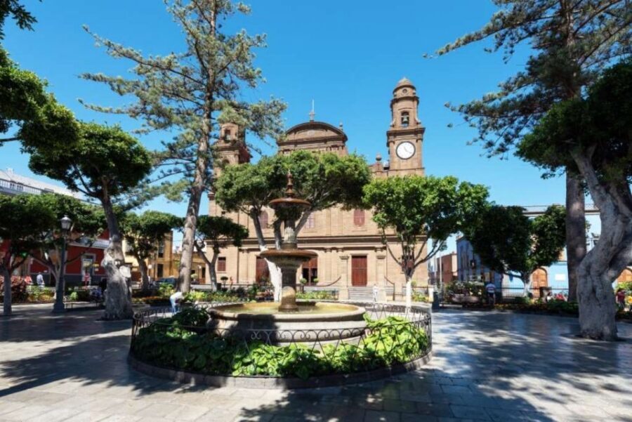 Gran Canaria Tour: Past and Present - Aloe Vera Estate Visit: A Practical Local Angle