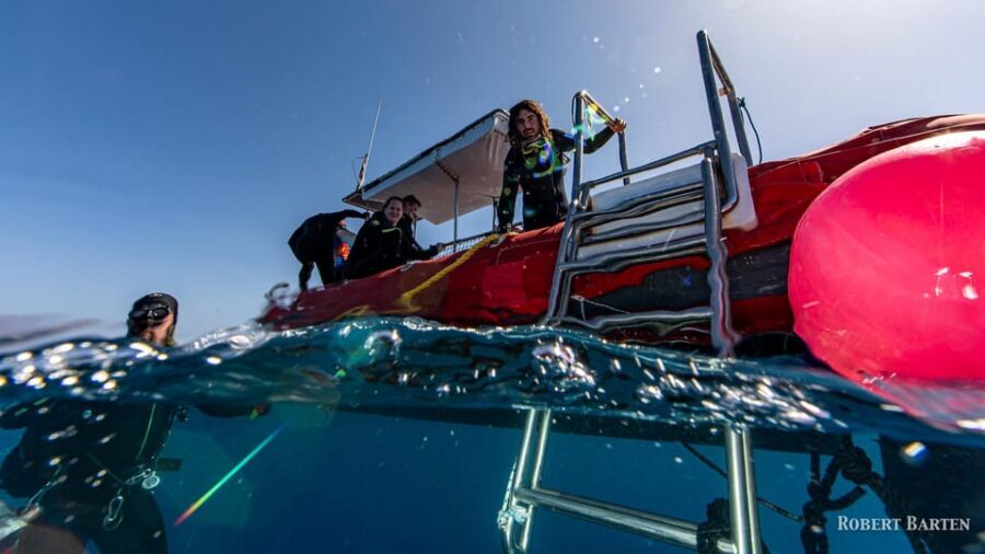 Gran Canaria:Live an Adventure and Learn to Dive with Expert - Should you book this Gran Canaria scuba intro?