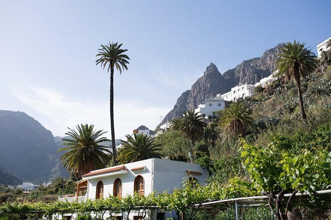 Grand Tour in Gran Canaria - Getting Started in Southern Gran Canaria: Pickup and Timing